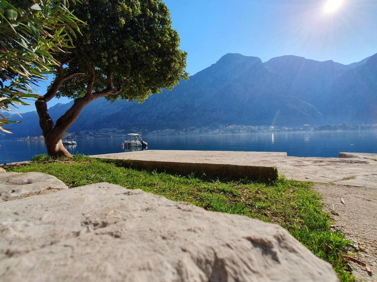Apartman Pontica Kotor Luaran gambar