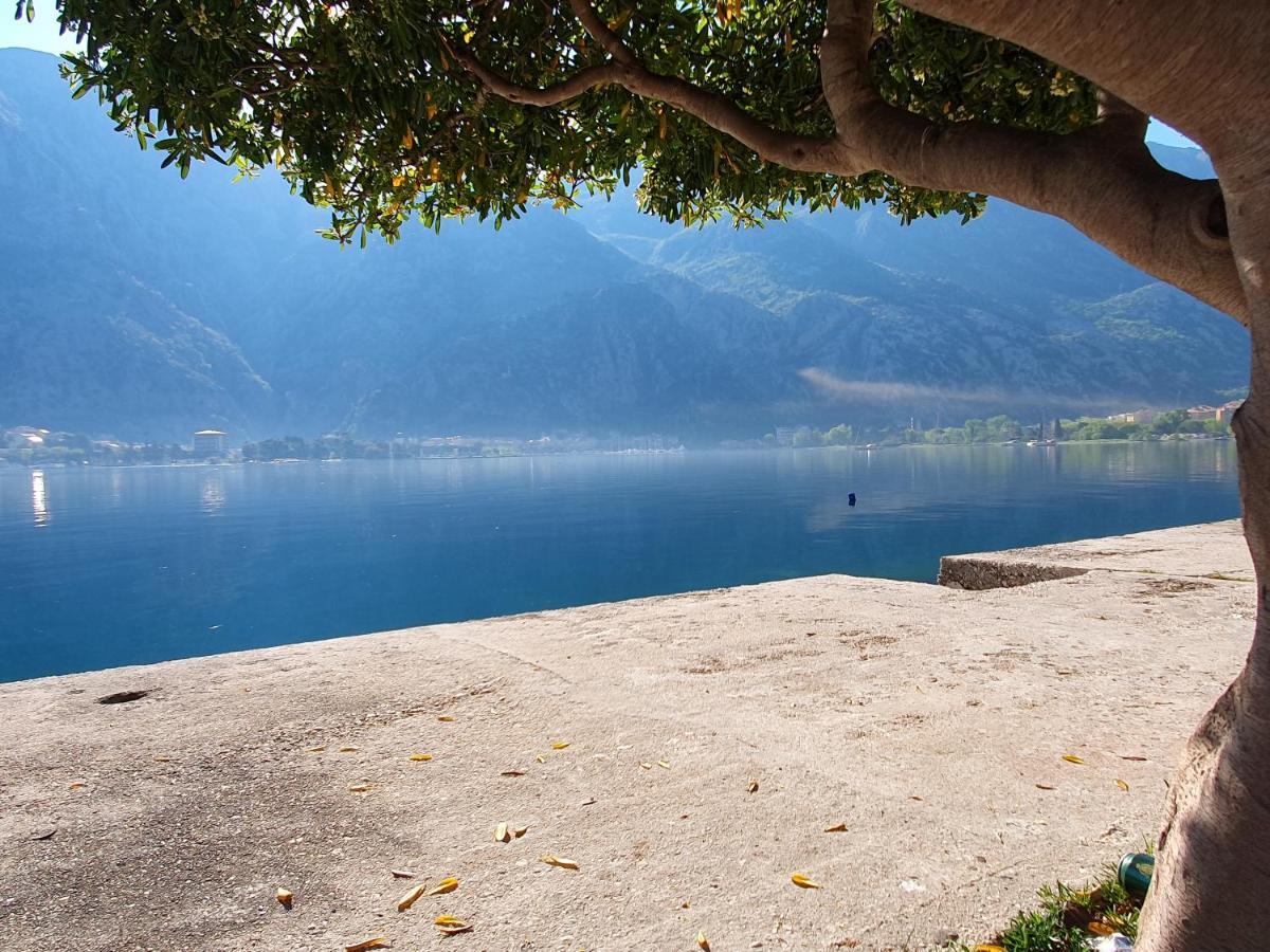 Apartman Pontica Kotor Luaran gambar